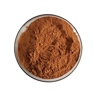 brazilian cocoa powder extract